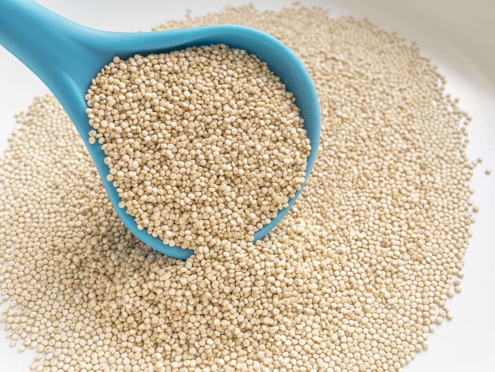 Quinoa